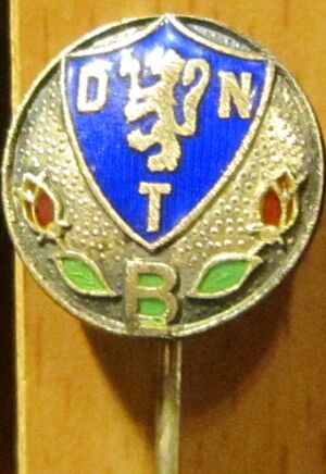 D.N.T. Barnelagenes nål.jpg