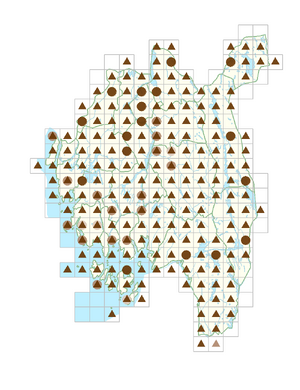 Dactylis glomerata.png