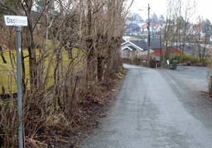 Dagaliveien Bærum 2016.jpg