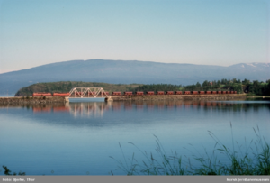 Dalselv Pukkvogner.png