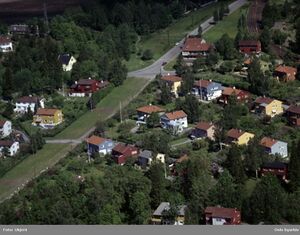 Damefallet toppen.jpg