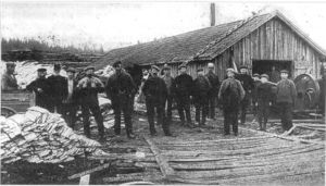 Dampsaga til Jul.jpg