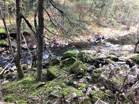 Damrester Dammyra 1.