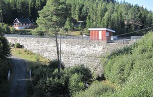 Damtjern Ringerike.jpg