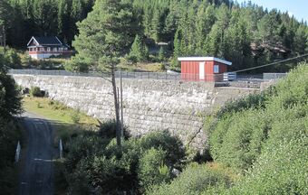 Damtjern Ringerike.jpg