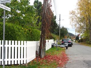 Daniel Walstads vei Oslo 2013.jpg