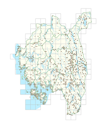 Danthonia decumbens 1.png