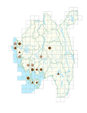 Datura stramonium.png