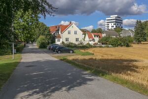 David Blids gate 220906.jpg