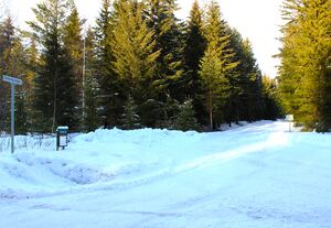 Delesmyrvegen Rollag 2016.jpg