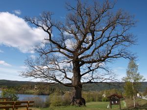 Den gamle mester.JPG