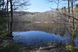 Den nederste av Nydammene 2020 (N0020).JPG