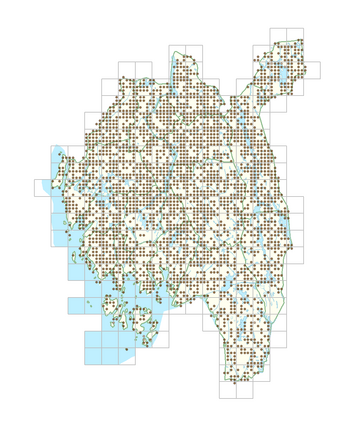 Deschampsia cespitosa subsp. cespitosa 1.png