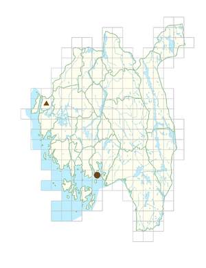 Dianthus plumarius.png