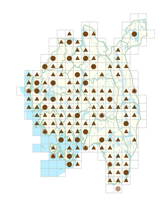 Digitalis purpurea.png