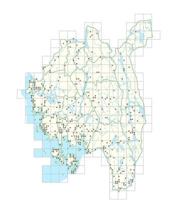 Digitalis purpurea 1.png