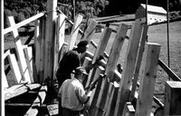 Dei to som dikslar er Håkon Berg og Magnar Høydal. Her vert spanta hogde til for å legga bjelkevegar.