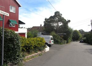 Disengrenda Oslo 2013.jpg