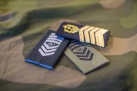 Gradstegn sjefsersjant/sjefsmester. Foto: Forsvaret