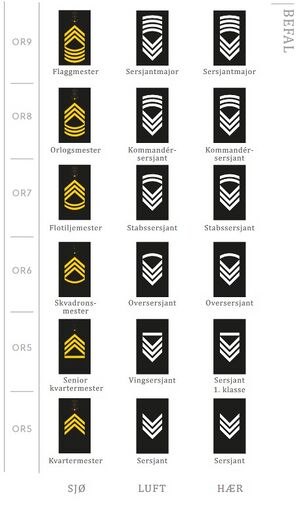 Distinksjoner spesialistbefal des 2023.jpg