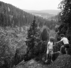 Fra Djupdalen sett mot Gryta og Skårerødegården. Flatehogst før motorveianlegget starter for alvor. Foto Gunnar Søderstrøm.