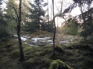 Djupedal hustuft.jpeg