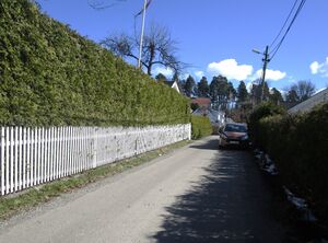 Doktor Rustads vei Oslo 2015.jpg