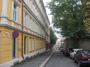 Dovregata Oslo 2012.jpg