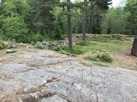 Dragen. Foto 2023 Steinar Bunæs.