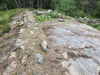 Dragen. Foto 2023 Steinar Bunæs.