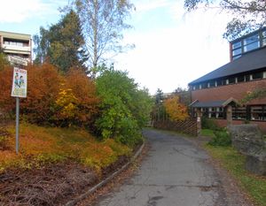 Dragonstien Oslo 2013.jpg