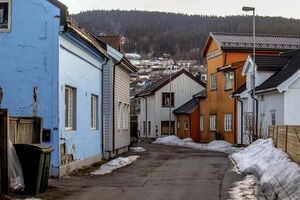 Drammen Bromannsgangen oversikt 210304.jpg