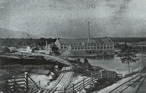 Drammenselven august 1878.jpg