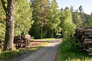 Drangedal, Holmfetveien-1.jpg