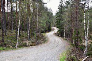 Drangedal, Måvannsveien-1.jpg