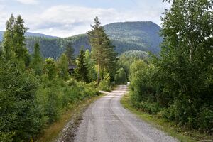 Drangedal, Omlandsveien-1.jpg