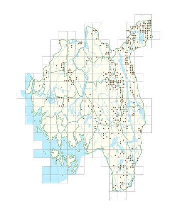 Drosera anglica 1.png