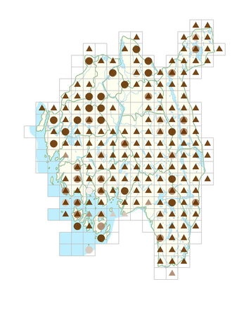 Drosera rotundifolia.png