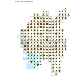 Dryopteris carthusiana.png