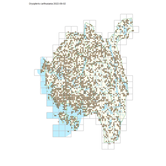 Dryopteris carthusiana 1.png