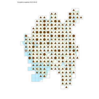 Dryopteris expansa.png