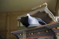 Due i Fister kyrkje. Foto: Harald Aspelund