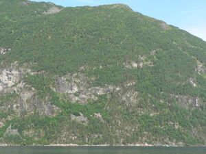 Duken Stranda 2009.jpeg