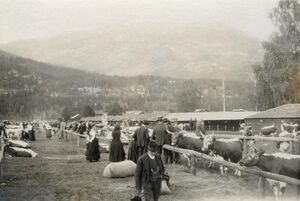Dyrskuplassen ved 50-års jubileet i 1916 red.jpg