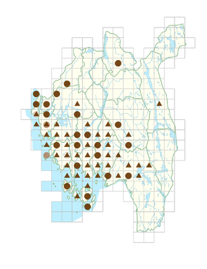 Echinochloa crus-galli.png