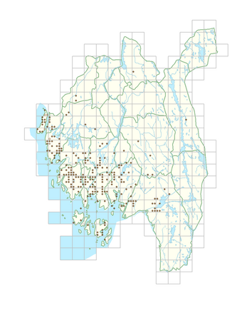 Echinochloa crus-galli 1.png