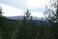 1. Eidsfjell Numedal 1333 moh.jpg