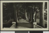 83. Eidsvoldsbygningen. Parti fra Parken - no-nb digifoto 20150826 00078 bldsa PK22676.jpg