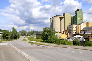 Eidsvoll Botshaugtangen 250708.jpg
