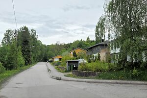 Eidsvoll Flesviklia 260525.jpg